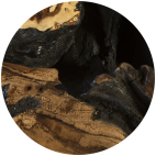Burnt Edge